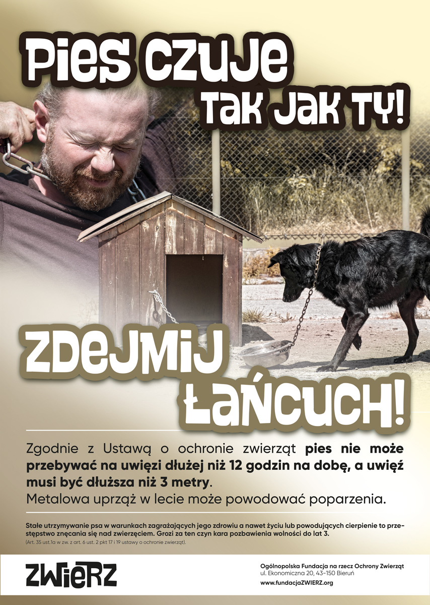 ZWIERZ-akcja-lato-plakat-2-A3-podglad.jpg